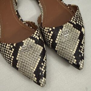 Lovely Coach Snakeskin Flats🖤🤎🖤